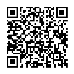 只是在楼下停着的车顶上留下了一扎多厚的积雪二维码生成