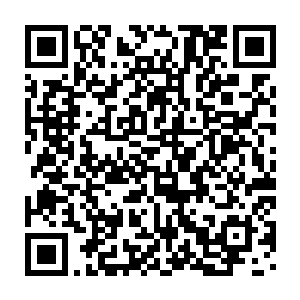 只是在漫长的岁月里它们一直隐藏在某个地方从来都没有被人类发现二维码生成