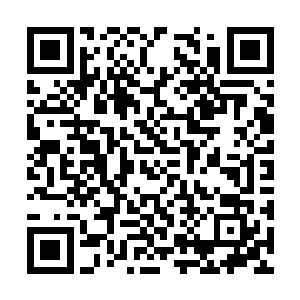 只是在白白浪费自己宝贵的计算力和生存希望而已二维码生成