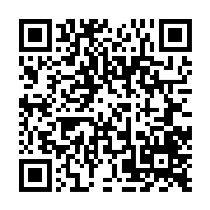 只是在许紫烟和青火宗元婴初期的对阵的十几个呼吸之间二维码生成