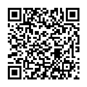 只是在颂念之中在何岳阳的全身都染上一层辉煌金色二维码生成