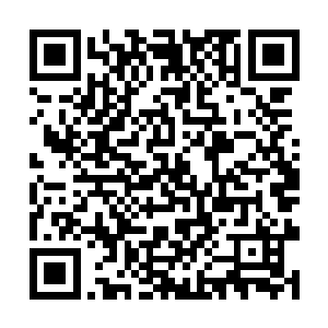 只是在龙族和凤族的后方为两个阵营寻找和挖取资源二维码生成