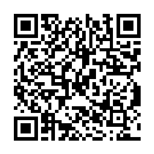 只是在龙祖和凤祖的尸体旁边有着一个巨大的光团二维码生成