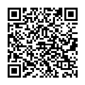 只是域外天魔的高端修士在黑岩岛那一战中陨落了大半二维码生成