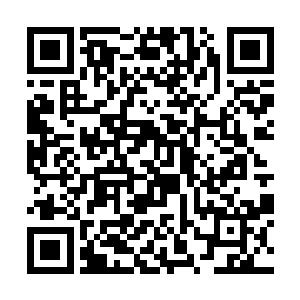 只是外围的巡逻就用上了二级的高能生物和二级术士二维码生成