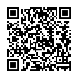 只是夜染所有的不满在君墨皇的一个眼神下烟消云散二维码生成
