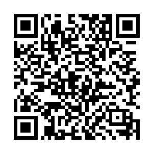 只是大伊万非常想知道坐在他旁边的这个白发老头是谁二维码生成