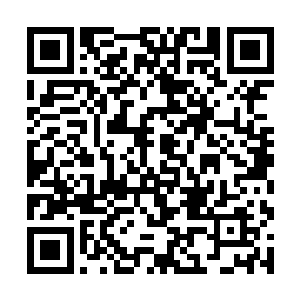 只是大许愿书如果不是用来对付并蒂因果无间恶莲的二维码生成