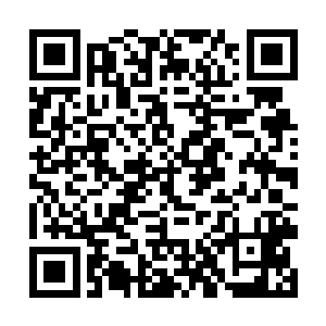 只是天级高手在如此规模的舰队战中发挥的余地很小二维码生成