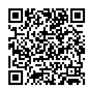 只是天道有些奇怪的看着依然没有动身的林诗语二维码生成