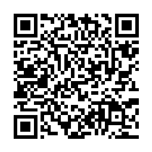 只是天魔之主也没想到韩风能在这么短的时间内就成长起来二维码生成