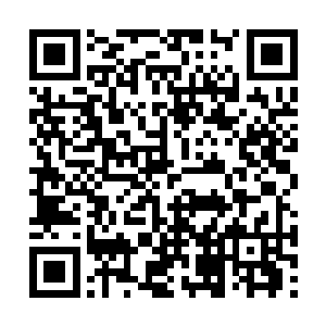 只是夭华交给他的小奶娃就这样被乌云给救了回去二维码生成