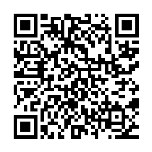 只是奴婢不太清楚他们是不是知道小小姐被二皇子藏在了哪里二维码生成