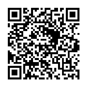 只是她听了不少那些缠着于晋然的闺秀们被整治的事迹二维码生成