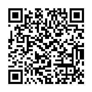 只是她如今实在是把握不住这阴晴不定的青辰殿下的情绪二维码生成
