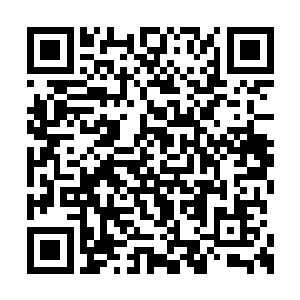 只是她竟然在九大势力的眼皮子底下收获那么多二维码生成