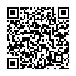 只是她若是躲了肯定会招来凤君曜一连串的怀疑二维码生成