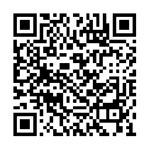 只是如果这个新郎官被你一摔之下突然伤重不治二维码生成