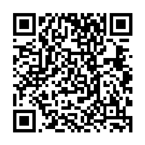 只是姚老道身为玉皇宫掌教平时很少出玉皇宫的大门二维码生成