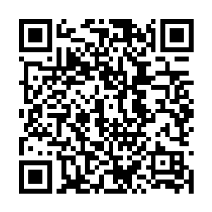 只是孙子轩这个小白完全不知道这句话是什么意思二维码生成