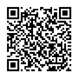 只是实在忍不住后悔还没有告诉夭华那所谓的真相二维码生成