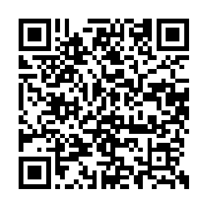 只是家中生计都落于你一人肩上怕是十分艰难吧二维码生成