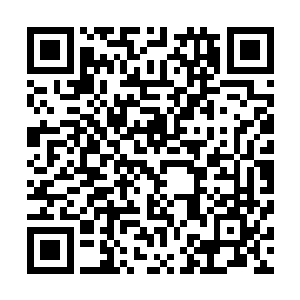 只是宽泛来讲……就好比地球上的植物也不全是绿色的一样二维码生成