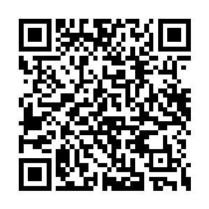 只是对于为什么闹的如此沸沸扬扬她也表示不解二维码生成