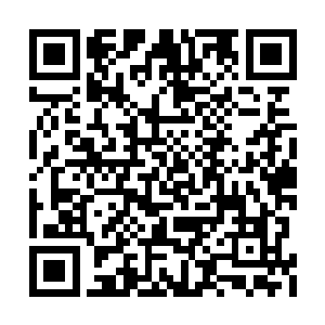 只是对出现在眼前的一切进行的吐槽的能力而已二维码生成