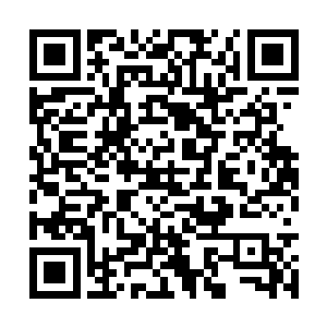 只是射了一排子弹后估计他的行动时间也差不多了二维码生成