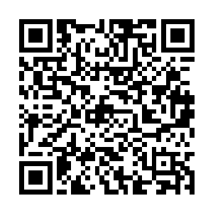 只是将一个个的脑海中那瑰丽奇峻的镜头重现人间二维码生成