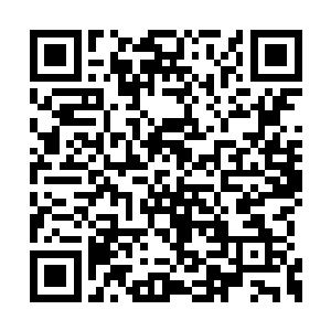 只是将写这本书当做闲暇差事的陆诩也不去强求二维码生成