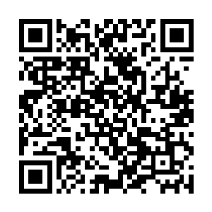 只是将拥有巨人族传承的那个储物戒指单独放在一处二维码生成