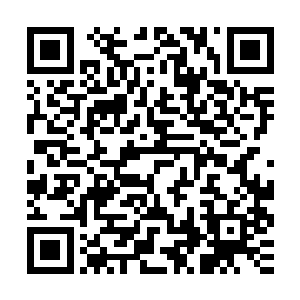 只是就跟饿疯了的人见着馒头就是天底下顶可口的美食一个道理二维码生成