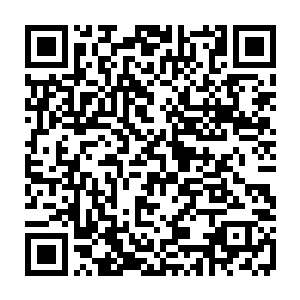 只是就这样被人家两句话给吓住了的话…夏侯龙城目光瞄了瞄两边的天将二维码生成