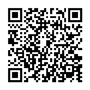 只是山东道上咱们魔教的名声更响亮了……白玉莲花二维码生成