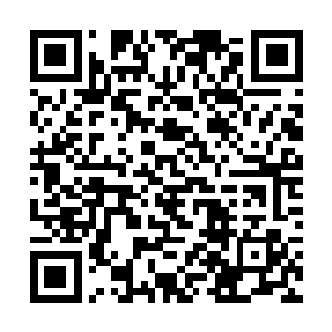 只是希望太尊冕下看在晚辈当年归还还真塔的苦劳上二维码生成