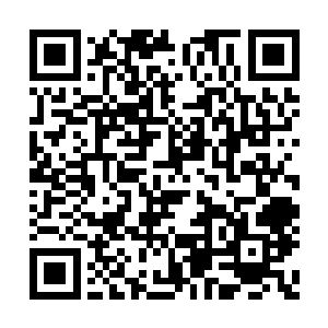 只是希望笑面双子的这一个没有什么别的手段了二维码生成