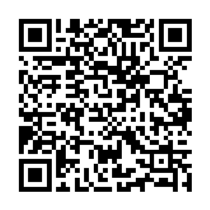 只是希望能不能在我回去之前不来硬的那一套就行二维码生成