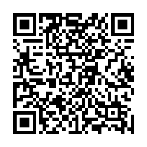 只是希望荣光能够进入圣保罗开始学习系统专业的足球技艺二维码生成