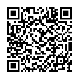 只是希望许宗师能够在闲暇之时来我们洪家做客二维码生成