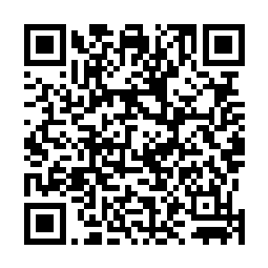 只是当他们听到对面欢呼不已的青田军阵突然一片寂静后二维码生成