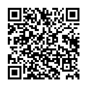 只是当时刚吞下精血他就被血河之主慑入血河界二维码生成