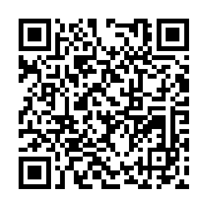 只是当时还以为这灵珠是什么威力强大的法宝来着二维码生成