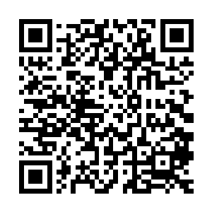 只是很可惜……这小子好像只能够发挥出绝学的很小一部分威力二维码生成