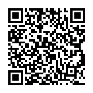 只是心里却是难免有一丝惊讶汤米曼加诺的办事效率二维码生成