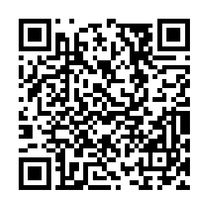 只是想到杨风为了救她而损失了最强大的轮回武魂二维码生成