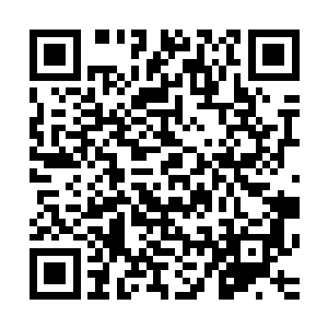 只是想多插一些旗帜以震慑金国的西夏将领没想到弄巧成拙了二维码生成