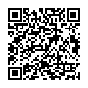 只是想给姑奶奶和姬家少爷找个清净雅致的好所在二维码生成