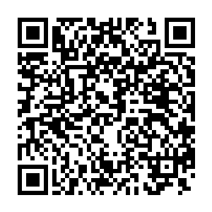 只是想要就这么轻轻地抱着怀里无助到了极点的飘零继续站在这里二维码生成